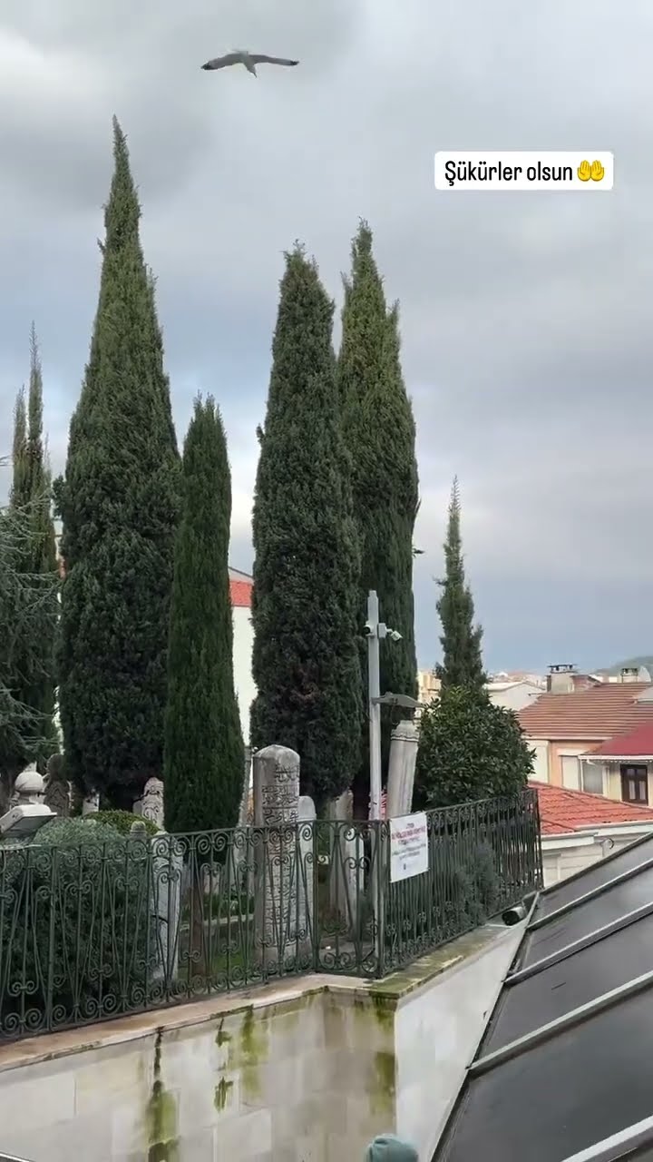 Şükürler olsun ?