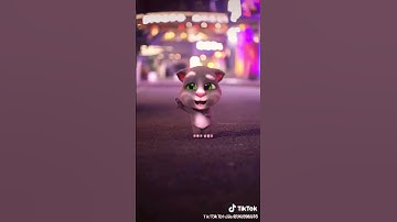 Nhảy theo điệu nhạy của các chú mèo nào các bạn ơi