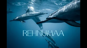 Lyrical: Rehnuma | Blue | Sonu Nigam, Shreya Ghoshal | A.R. Rahman