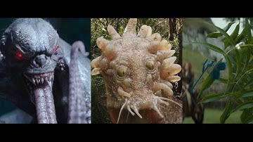 Clint Carlton Texture & Look Development VFX Showreel 2023