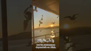 وَمَا مِن دَآبَّةٍۢ فِى ٱلْأَرْضِ إِلَّا عَلَى ٱللَّهِ رِزْقُهَا|حالات واتساب