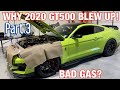 Bad E85? Why My $100k 2020 GT500 Blew Up! *Part 3