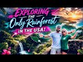 DON'T VISIT El Yunque Without Watching THIS! | Puerto Rico's MOST AMAZING Sites