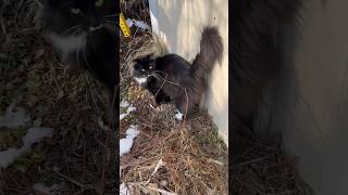 Be of the same mind one towards another mind not high things but condescend to man of low estate-