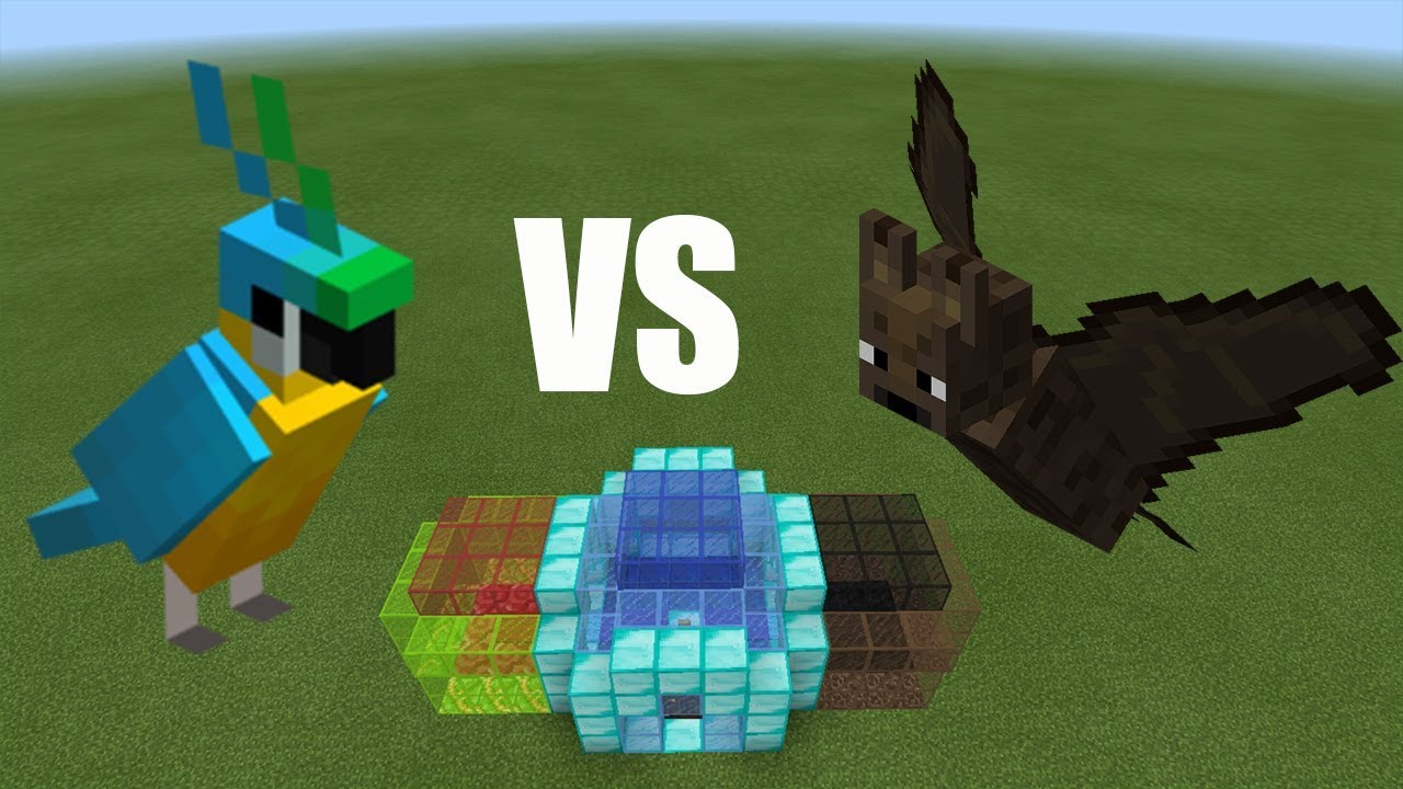 Parrot Vs Bat Minecraft Pe Youtube