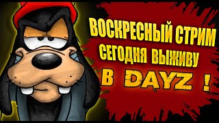 🔴🎥 DayZ | ОСОБО ОПАСНЫЕ | ВЫХОДЯТ НА ОХОТУ | 18+ Сервер: DZLL Rippers #dayz #pvp #vibe