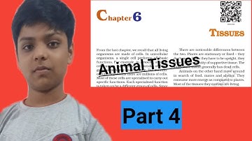 Class 9th science chapter 6 tissues Part 4 biology full explanation in hindi/A.R Active study
