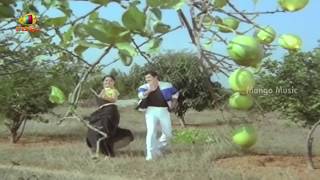 Chuttalabbai Telugu Movie    Suvvi Suvvi Song  Krishna  Radha  Suhasini