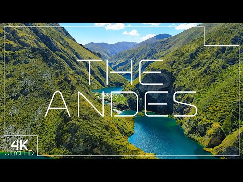 Secrets of The Andes ⛰️ A 4K nature documentary