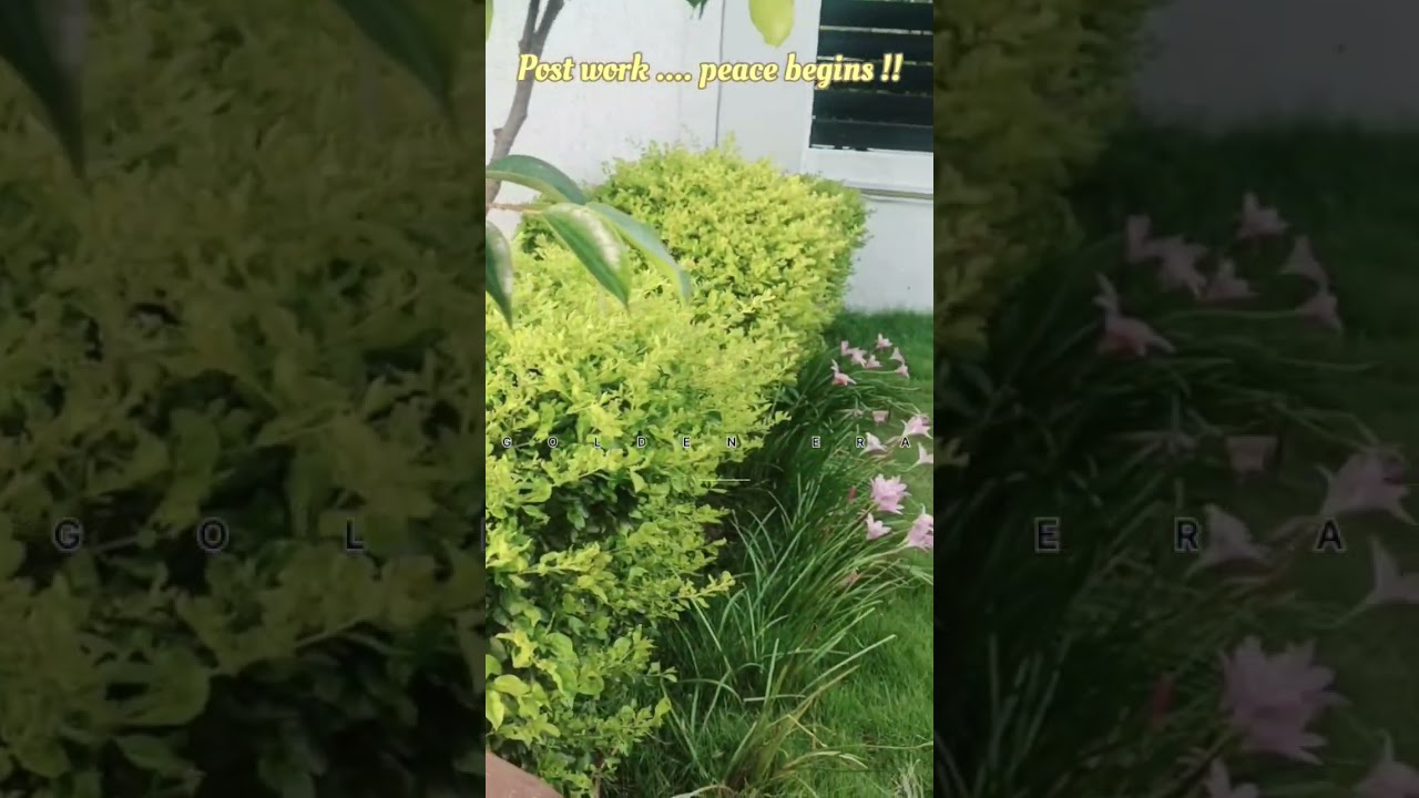 "clock out , chill out " 