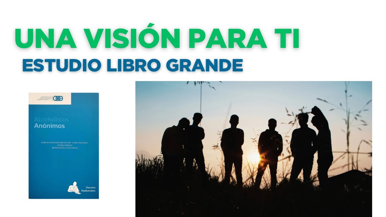 13 Una Visión Para Ti - Estudio Del Libro Grande De Alcohólicos Anónimos