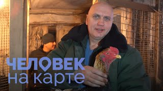 Петушиные «бои» | ЧЕЛОВЕК НА КАРТЕ