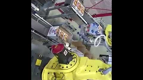 Fruit case carton box robot hand cartoning encasing machine automatic carton packing line