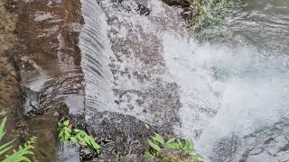 Download Lagu Still Waters Within FULL SONG | Lagu Tenang Penuh Makna \u0026 Emosi MP3