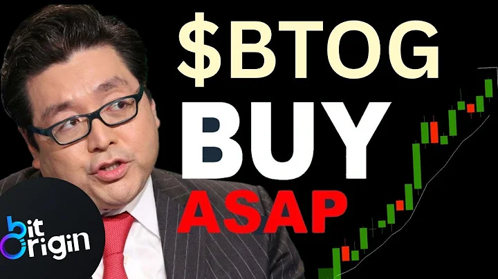 BTOG Stock TUESDAY NEWS! (The Exact Answer!) Bit Origin