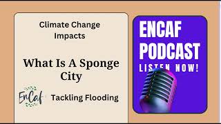 Tackling Floods Through Sponge Cities