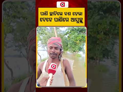 ପାଣି ଛାଡିଲେ କଣ ହେଲା, ବେକେ ପାଣିରେ ଆସୁଛୁ | Banki Flood Crisis  |Argus News