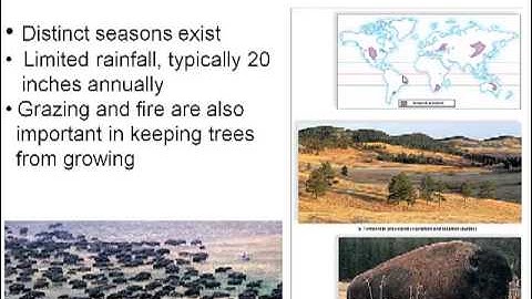 Chapter 16, Part I (Terrestrial biomes)