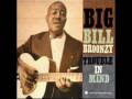 Big Bill Broonzy Black Brown and White