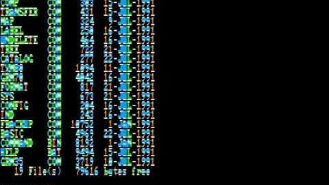 US DOS for Apple II computer