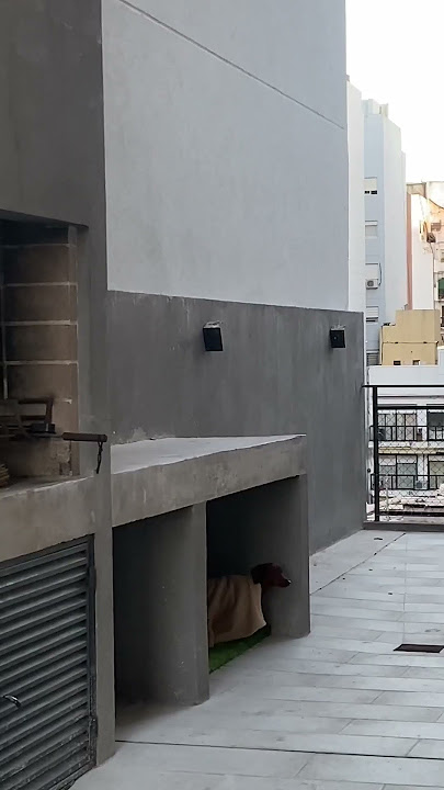 Chilly Dachshund Wears Blanket On Terrace || ViralHog