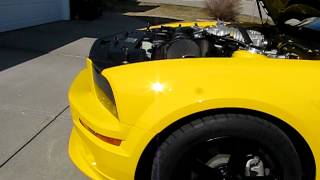 MVI_0543.AVI