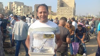 Bird prices at the Friday Market today with owner numbers💯and what birds did people buy and for h...