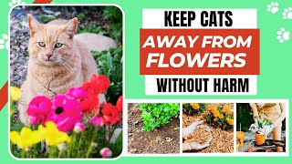 How to To Keep Cats Out Of Flower Beds Naturally