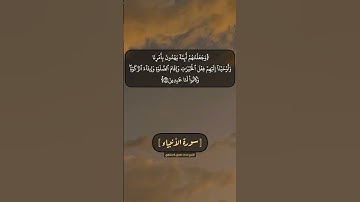 سورة الأنبياء الآية ٧١ الى ٧٣ بصوت الشيخ محمد صديق المنشاوي