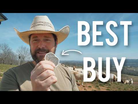 Silver Dollars Might Be the Best Buy in Silver Right Now