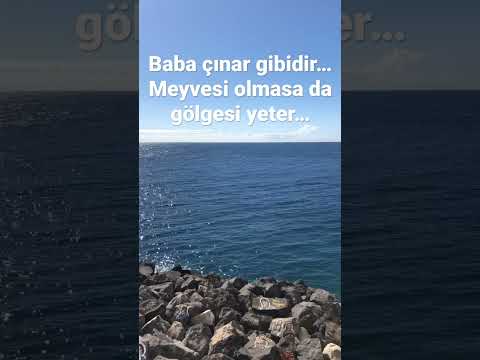 Baba çınar gibidir… Meyvesi olmasa da gölgesi yeter… #baba #keşfet