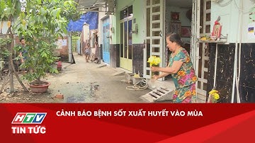 CẢNH BÁO BỆNH SỐT XUẤT HUYẾT VÀO MÙA| HTV TIN TỨC