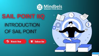 🔐 Introduction to SailPoint | Online Training for Beginners |