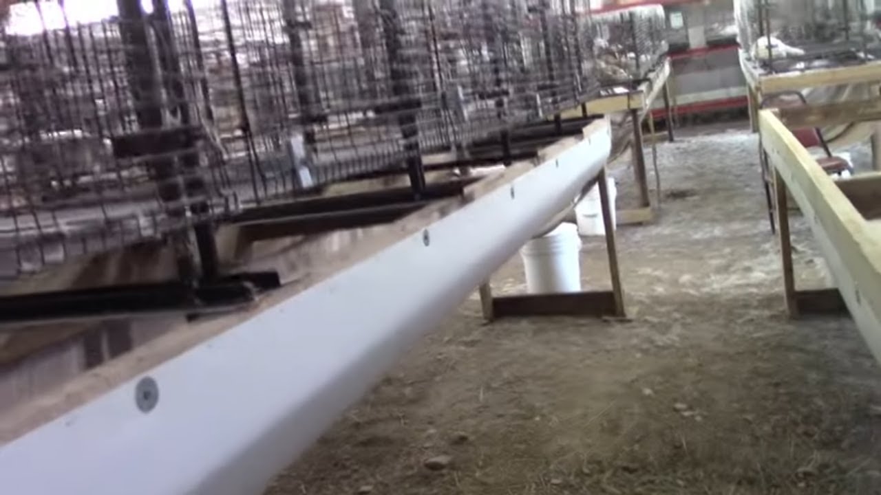How we upgraded our rabbit waste collection (rabbit poop) system # ...