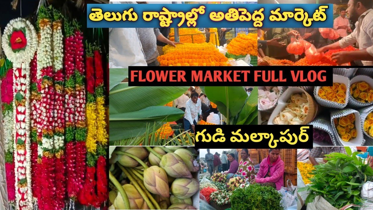 Biggest Flower Market in Hyderabad 🌹🌺Exploring Gudimalkapur Flower Market 🌼 Wholesale flower market