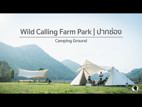 Wild Calling Farm Park : ปากช่อง ลานกางเต็นท์วิว 360 องศา | Camper & The Wolf