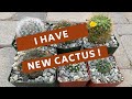 New Cactus Unboxing (Orders from Planet Desert)