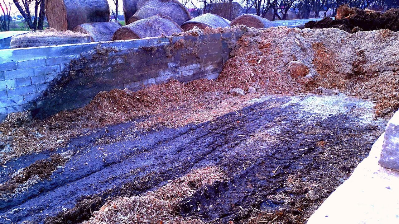 Sprzedałem wszystko! Nawet kiszonkę z kukurydzy