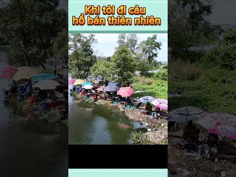 Hồ câu bán thiên nhiên Ngũ Phúc. Đông vui quá #vyhanfishing #fishing #cauca #caucavatrainghiem