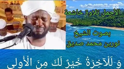 الأجمل تلاوة خاشعة بصوت الشيخ نورين محمد صديق سورة الضحى  Best Quran reaction SHEIKH NOREEN MOHAMED