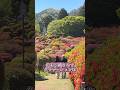 ツツジの楽園に行ってきた!色彩豊かな公園