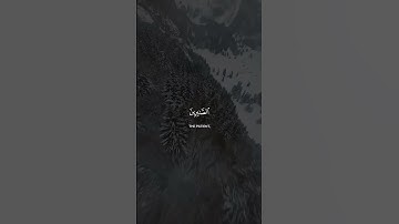 Surah Al-Imran 16-17 سورة آل عمران #quranib #quran