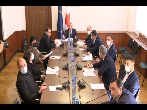 კამათი  ბადრი ჯაფარიძისთვის სადეპუტატო  უფლებამოსილების შეწყვეტაზე