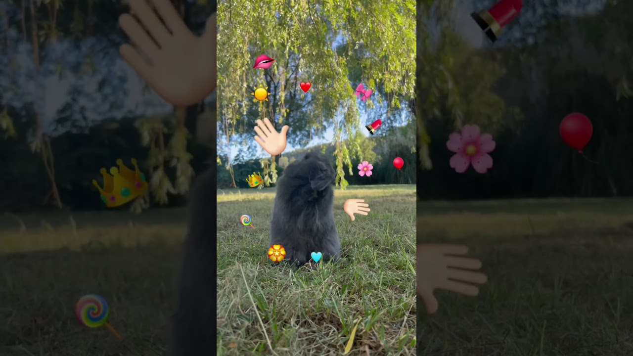 Trop chou cette trend 🥹