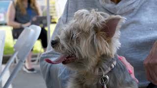 Seattle Background 2