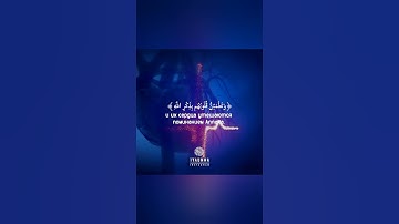 مقطع يريح القلب بصوت جميل جدا القاريء طارق محمد 💭💗 حالات واتس أب قران كريم ♥️🎧 Quran status