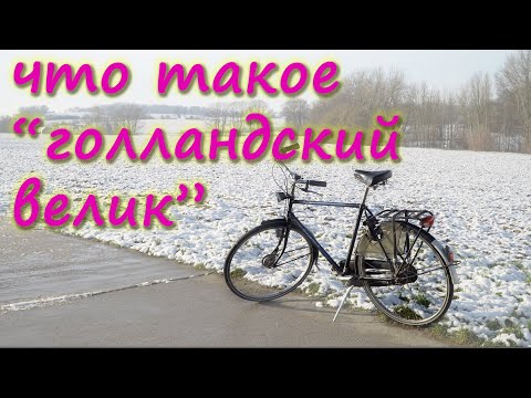 Video: Poljski Znanstveniki: 