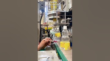 Việc nhẹ lương cao là đây #shortvideo #shorts