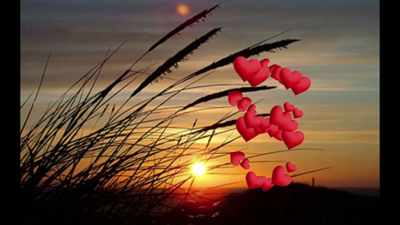 SJAJ U TRAVI-Prelepa balada