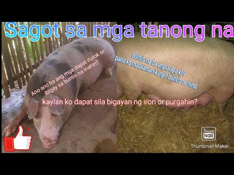 Video: Alin sa mga sumusunod ang ipinapalagay na senyales ng pagbubuntis quizlet?